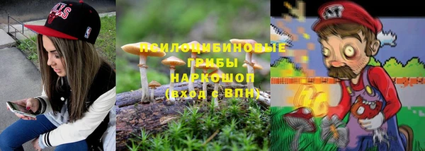 сатива Вяземский
